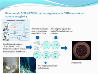 Hipóteses de ABIOGÉNESE, i.e. de surgimento de VIDA a partir de 
matéria inorgânica. 
Condições pré-bióticas: 
‘SOPA PRIMITIVA’: 
Blocos moleculares básicos, 
livres em meio aquático. 
Associação com esferas 
fosfolipídicas. 
Protocélulas 
Primeiras moléculas 
auto-reprodutoras: 
proto-RNA, DNA 
Associação a hiperciclos 
metabólicos eficientes, co-evolução. 
 
