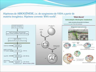 Hipóteses de ABIOGÉNESE, i.e. de surgimento de VIDA a partir de 
matéria inorgânica. Hipótese corrente ‘RNA world’. 
 