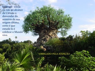 Epílogo: esteja 
ou não ao alcance 
da Ciência o 
desvendar do 
mistério da sua 
origem última, 
certo é que 
estudá-lo é 
celebrar o Mundo 
vivo. 
OBRIGADO PELA ATENÇÃO 
