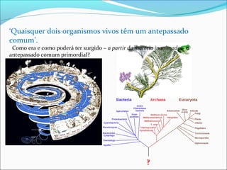 ‘Quaisquer dois organismos vivos têm um antepassado 
comum’. 
Como era e como poderá ter surgido – a partir da matéria inanimada – o 
antepassado comum primordial? 
? 
 