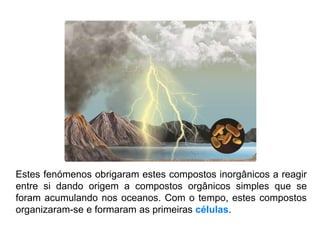 Estes fenómenos obrigaram estes compostos inorgânicos a reagir
entre si dando origem a compostos orgânicos simples que se
foram acumulando nos oceanos. Com o tempo, estes compostos
organizaram-se e formaram as primeiras células.
 