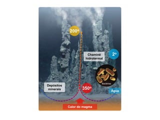 Bactérias
Chaminé
hidrotermal
Depósitos
minerais
Calor do magma
Água
2o
350o
200o
 