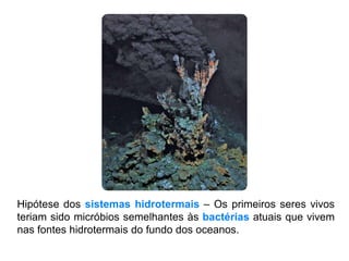 Hipótese dos sistemas hidrotermais – Os primeiros seres vivos
teriam sido micróbios semelhantes às bactérias atuais que vivem
nas fontes hidrotermais do fundo dos oceanos.
 