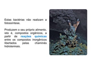 Estas bactérias não realizam a
fotossíntese.
Produzem o seu próprio alimento,
isto é, compostos orgânicos, a
partir de reações químicas
entre os compostos inorgânicos
libertados pelas chaminés
hidrotermais.
 