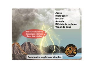 Compostos orgânicos simples
Azoto
Hidrogénio
Metano
Amónia
Dióxido de carbono
Vapor de água
Radiação ultavioleta
Descargas elétricas
Calor dos vulcões
Bactérias
 