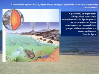 A camada do ozonio filtra e, deste modo, protege a superfície terrestre das radiações
                                                                        ultravioletas.




                                                         in Oliveira et al. (1999)
                                                                                            A partir daí, os organismos
                                                                                              subaquáticos passaram a
                                                                                     sobreviver fora da água e povoar
                                                                                              as terras emersas. Foram
                                                                                        selecionadas as características
                                                                                        que permitiam sobreviver nos
                                                                                                      novos ambientes.
                                                                                                           Fora da água.




                           Professora Ionara Urrutia Moura                                                        10
 