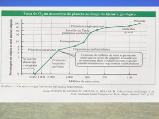 Professora Ionara Urrutia Moura   16
 