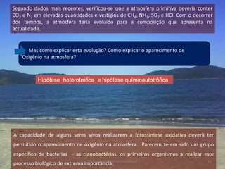 Segundo dados mais recentes, verificou-se que a atmosfera primitiva deveria conter
CO2 e N2 em elevadas quantidades e vestígios de CH4, NH3, SO2 e HCl. Com o decorrer
dos tempos, a atmosfera teria evoluído para a composição que apresenta na
actualidade.


      Mas como explicar esta evolução? Como explicar o aparecimento de
    Oxigênio na atmosfera?



           Hipótese heterotrófica e hipótese químioautotrófica




A capacidade de alguns seres vivos realizarem a fotossíntese oxidativa deverá ter
permitido o aparecimento de oxigénio na atmosfera. Parecem terem sido um grupo
específico de bactérias - as cianobactérias, os primeiros organismos a realizar este
processo biológico de extrema importância. Urrutia Moura
                               Professora Ionara                                 18
 