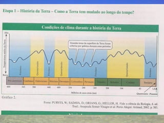 Professora Ionara Urrutia Moura   20
 