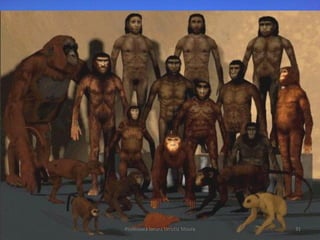 Professora Ionara Urrutia Moura   31
 