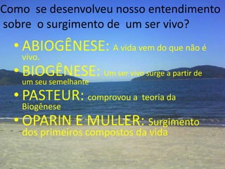 Como se desenvolveu nosso entendimento
sobre o surgimento de um ser vivo?
  • ABIOGÊNESE: A vida vem do que não é
   vivo.
  • BIOGÊNESE: Um ser vivo surge a partir de
   um seu semelhante
  • PASTEUR: comprovou a teoria da
   Biogênese
  • OPARIN E MULLER: Surgimento
   dos primeiros compostos da vida

                   Professora Ionara Urrutia Moura   32
 