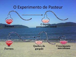 O Experimento de Pasteur




       Professora Ionara Urrutia Moura   33
 
