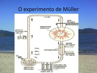 O experimento de Müller




       Professora Ionara Urrutia Moura   34
 