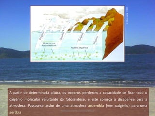 in Oliveira et al. (1999)
A partir de determinada altura, os oceanos perderam a capacidade de fixar todo o
oxigênio molecular resultante da fotossíntese, e este começa a dissipar-se para a
atmosfera. Passou-se assim de uma atmosfera anaeróbia (sem oxigénio) para uma
                              Professora Ionara Urrutia Moura                                   8
aeróbia
 