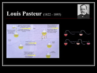 Louis Pasteur (1822 - 1895)
 