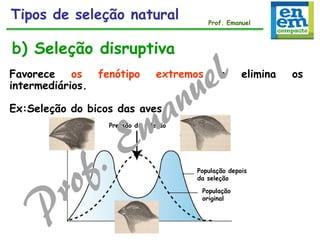 b) Seleção disruptiva
Pressão de seleção
População
original
População depois
da seleção
Favorece os fenótipo extremos e elimina os
intermediários.
Ex:Seleção do bicos das aves
Tipos de seleção natural Prof. Emanuel
 