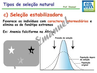 c) Seleção estabilizadora
Pressão de seleção
População
original
População depois
da seleção
Favorece os indivíduos com caracteres intermediários e
elimina os de fenótipo extremos
Ex: Anemia falciforme na África
Tipos de seleção natural Prof. Emanuel
 