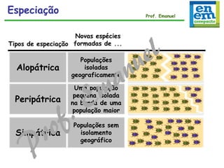 Alopátrica
Peripátrica
Simpátrica
Tipos de especiação
Novas espécies
formadas de ...
Populações
isoladas
geograficamente
Uma população
pequena isolada
na borda de uma
população maior
Populações sem
isolamento
geográfico
Especiação Prof. Emanuel
 