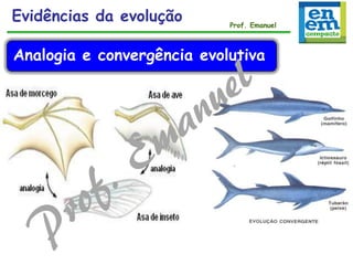 Evidências da evolução Prof. Emanuel
Analogia e convergência evolutiva
 