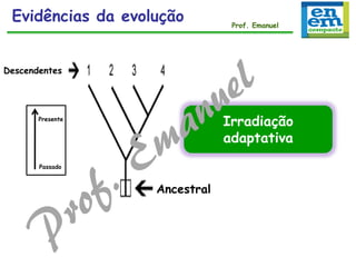 Descendentes
Ancestral
Passado
Presente
Irradiação
adaptativa
Evidências da evolução Prof. Emanuel
 