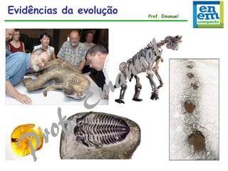 Evidências da evolução Prof. Emanuel
 