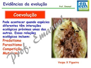 Pode acontecer quando espécies
diferentes têm interações
ecológicas próximas umas das
outras. Essas relações
ecológicas incluem:
Predatismo
Parasitismo
Competição
Mutalismo
Coevolução
Vespa X Figueira
Evidências da evolução Prof. Emanuel
 