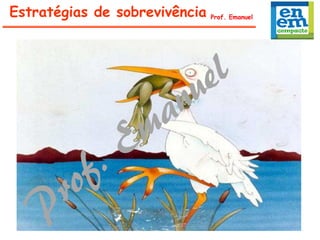 Estratégias de sobrevivência Prof. Emanuel
 