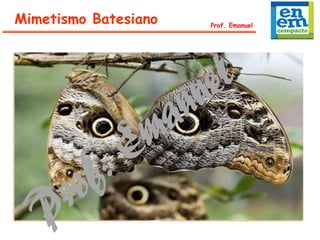 Mimetismo Batesiano Prof. Emanuel
 
