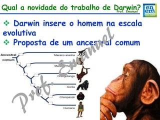 Qual a novidade do trabalho de Darwin?
 Darwin insere o homem na escala
evolutiva
 Proposta de um ancestral comum
Prof. Emanuel
 