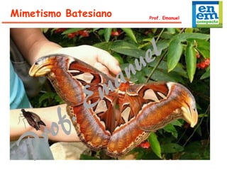 Mimetismo Batesiano Prof. Emanuel
 