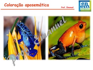 Prof. Emanuel
Coloração aposemática
 