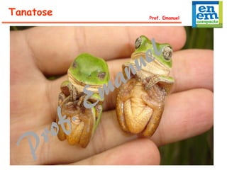 Tanatose Prof. Emanuel
 