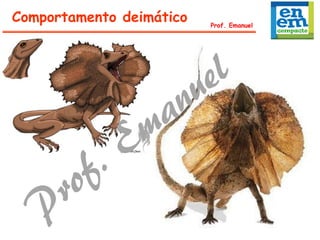 Comportamento deimático Prof. Emanuel
 