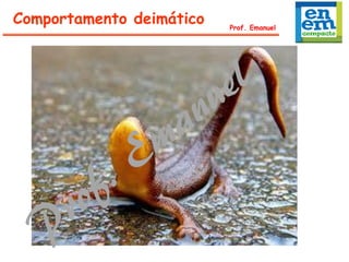 Comportamento deimático Prof. Emanuel
 