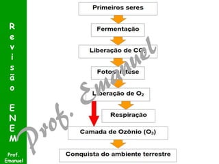 Prof.
Emanuel
R
e
v
i
s
ã
o
E
N
E
M
 