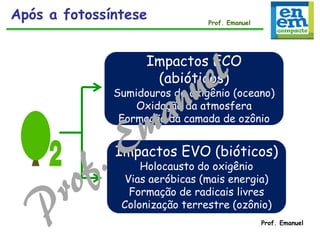 Impactos ECO
(abióticos)
Sumidouros de oxigênio (oceano)
Oxidação da atmosfera
Formação da camada de ozônio
Impactos EVO (bióticos)
Holocausto do oxigênio
Vias aeróbicas (mais energia)
Formação de radicais livres
Colonização terrestre (ozônio)
Prof. Emanuel
Após a fotossíntese Prof. Emanuel
 