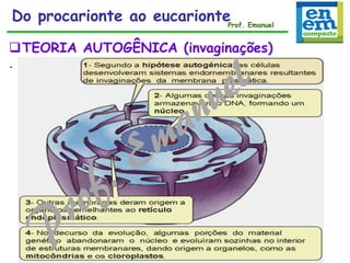 TEORIA AUTOGÊNICA (invaginações)
.
Do procarionte ao eucarionteProf. Emanuel
 