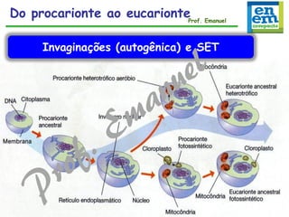 Invaginações (autogênica) e SET
Do procarionte ao eucarionteProf. Emanuel
 