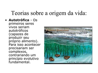 Teorias sobre a origem da vida:
• Autotrófica - Os
primeiros seres
vivos seriam
autotróficos
(capazes de
produzir seu
próprio alimento).
Para isso acontecer
precisariam ser
complexos,
contrariando um
princípio evolutivo
fundamental.
 
