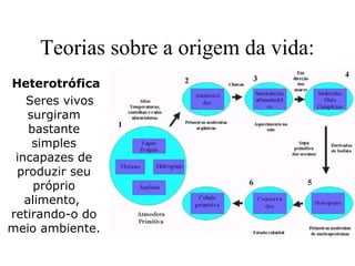 Teorias sobre a origem da vida:
Heterotrófica
Seres vivos
surgiram
bastante
simples
incapazes de
produzir seu
próprio
alimento,
retirando-o do
meio ambiente.
 