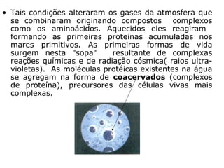 • Tais condições alteraram os gases da atmosfera que
se combinaram originando compostos complexos
como os aminoácidos. Aquecidos eles reagiram
formando as primeiras proteínas acumuladas nos
mares primitivos. As primeiras formas de vida
surgem nesta "sopa" resultante de complexas
reações químicas e de radiação cósmica( raios ultra-
violetas). As moléculas protéicas existentes na água
se agregam na forma de coacervados (complexos
de proteína), precursores das células vivas mais
complexas.
 