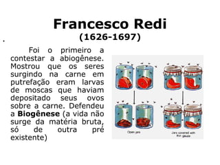 Francesco Redi
(1626-1697).
Foi o primeiro a
contestar a abiogênese.
Mostrou que os seres
surgindo na carne em
putrefação eram larvas
de moscas que haviam
depositado seus ovos
sobre a carne. Defendeu
a Biogênese (a vida não
surge da matéria bruta,
só de outra pré
existente)
 