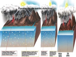 Formação do caldo nutritivo
 