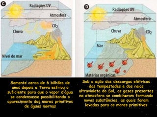 Somente cerca de 6 bilhões de
anos depois a Terra esfriou o
suficiente para que o vapor d’água
se condensasse possibilitando o
aparecimento dos mares primitivos
de águas mornas
Sob a ação das descargas elétricas
das tempestades e dos raios
ultravioleta do Sol, os gases presentes
na atmosfera se combinaram formando
novas substâncias, as quais foram
levadas para os mares primitivos
 