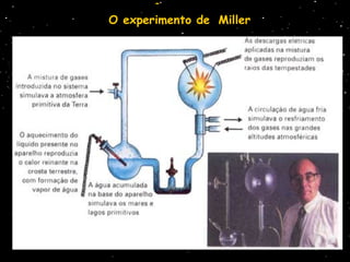 O experimento de Miller
 
