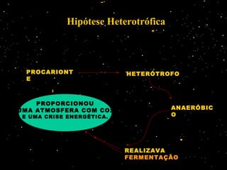 Hipótese Heterotrófica
PROCARIONT
E
HETERÓTROFO
ANAERÓBIC
O
REALIZAVA
FERMENTAÇÃO
PROPORCIONOU
UMA ATMOSFERA COM CO2
E UMA CRISE ENERGÉTICA.
PROCARIONT
E
HETERÓTROFO
ANAERÓBIC
O
REALIZAVA
FERMENTAÇÃO
 