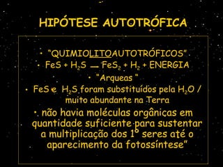 HIPÓTESE AUTOTRÓFICAHIPÓTESE AUTOTRÓFICA
• “QUIMIOLITOAUTOTRÓFICOS”
• FeS + H2S FeS2 + H2 + ENERGIA
• “Arqueas “
• FeS e H2S foram substituídos pela H2O /
muito abundante na Terra
• não havia moléculas orgânicas em
quantidade suficiente para sustentar
a multiplicação dos 1º seres até o
aparecimento da fotossíntese”
 