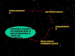PROCARIONT
E
HETERÓTROFO
ANAERÓBIC
O
REALIZAVA
FERMENTAÇÃO
POSSIBILITANDO A
FOTOSSINTESE E
RECUPERANDO O
TEOR DE
ALIMENTO
PROCARIONT
E
HETERÓTROFO
ANAERÓBIC
O
REALIZAVA
FERMENTAÇÃO
 