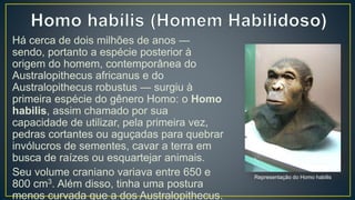 Há cerca de dois milhões de anos —
sendo, portanto a espécie posterior à
origem do homem, contemporânea do
Australopithecus africanus e do
Australopithecus robustus — surgiu à
primeira espécie do gênero Homo: o Homo
habilis, assim chamado por sua
capacidade de utilizar, pela primeira vez,
pedras cortantes ou aguçadas para quebrar
invólucros de sementes, cavar a terra em
busca de raízes ou esquartejar animais.
Seu volume craniano variava entre 650 e
800 cm3. Além disso, tinha uma postura
menos curvada que a dos Australopithecus.
Representação do Homo habilis
 