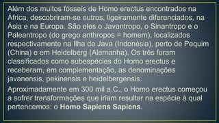 Além dos muitos fósseis de Homo erectus encontrados na
África, descobriram-se outros, ligeiramente diferenciados, na
Ásia e na Europa. São eles o Javantropo, o Sinantropo e o
Paleantropo (do grego anthropos = homem), localizados
respectivamente na Ilha de Java (Indonésia), perto de Pequim
(China) e em Heidelberg (Alemanha). Os três foram
classificados como subespécies do Homo erectus e
receberam, em complementação, as denominações
javanensis, pekinensis e heidelbergensis.
Aproximadamente em 300 mil a.C., o Homo erectus começou
a sofrer transformações que iriam resultar na espécie à qual
pertencemos: o Homo Sapiens Sapiens.
 